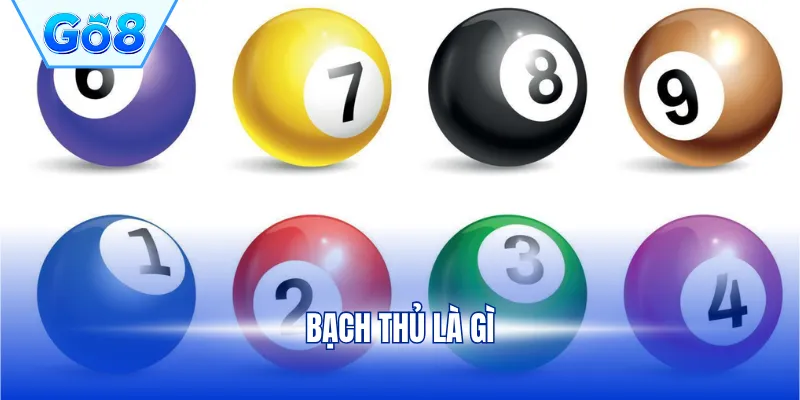 Bạch thủ là gì
