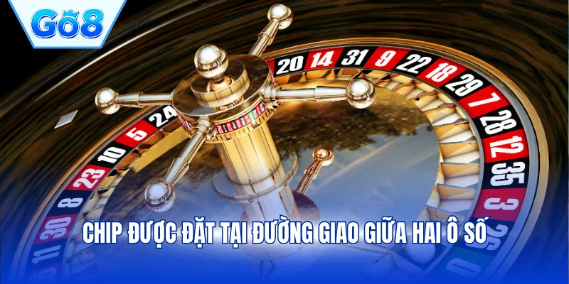Chip được đặt tại đường giao giữa hai ô số