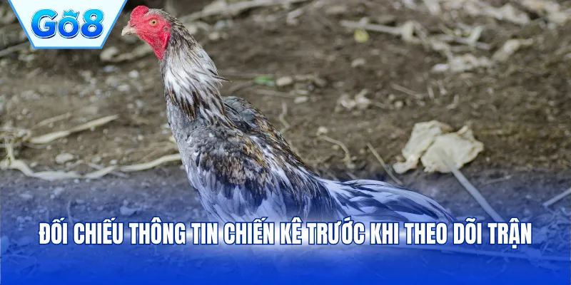 Đối chiếu thông tin chiến kê trước khi theo dõi trận