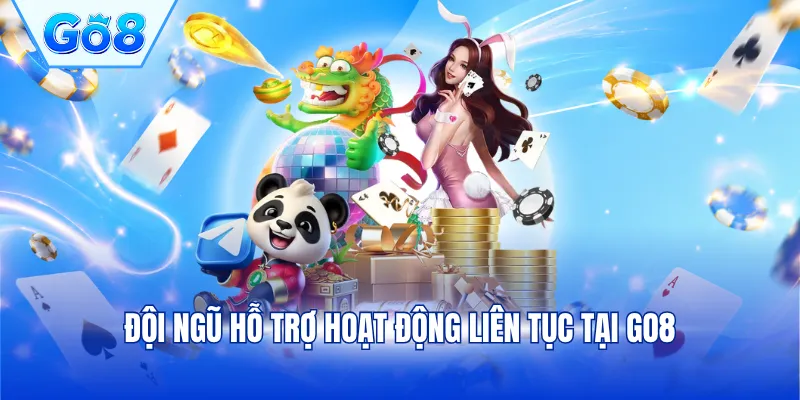 Đội ngũ hỗ trợ hoạt động liên tục tại GO8