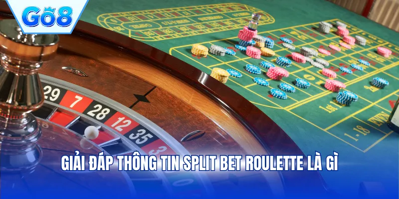 Giải đáp thông tin Split Bet Roulette là gì