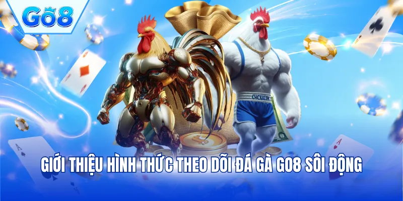 Giới thiệu hình thức theo dõi đá gà GO8 sôi động