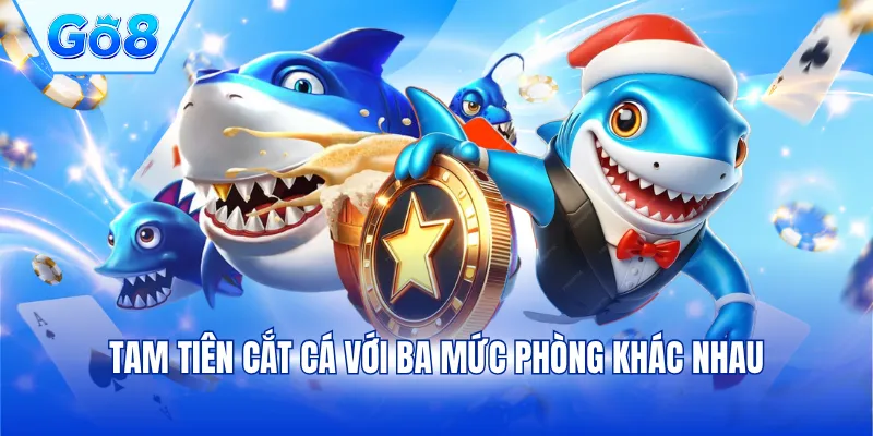 Tam Tiên Cắt Cá với ba mức phòng khác nhau