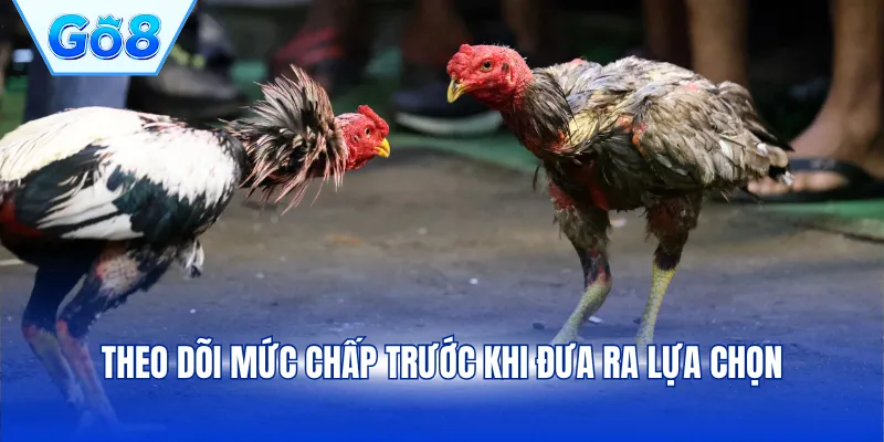Theo dõi mức chấp trước khi đưa ra lựa chọn