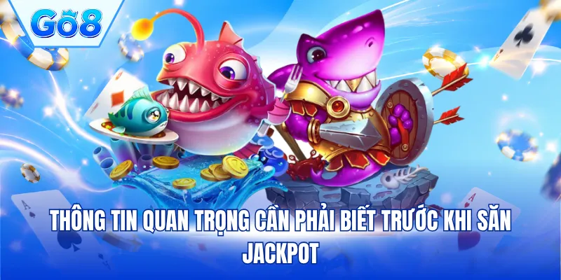 Thông tin quan trọng cần phải biết trước khi săn Jackpot