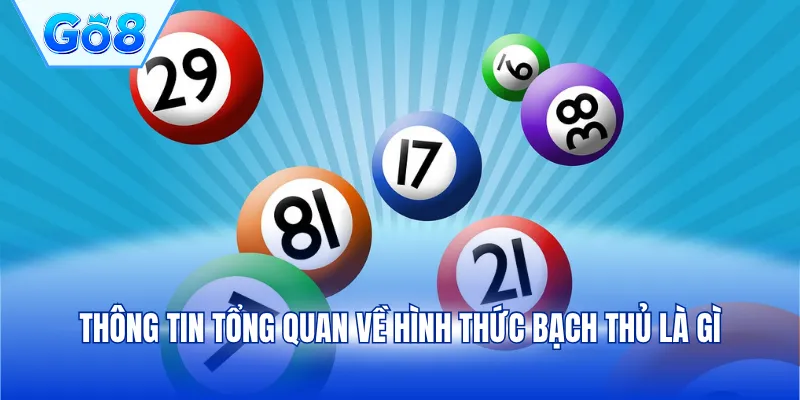 Thông tin tổng quan về hình thức bạch thủ là gì