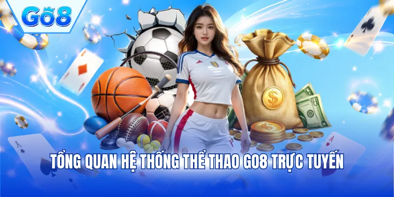 Tổng quan hệ thống thể thao GO8 trực tuyến