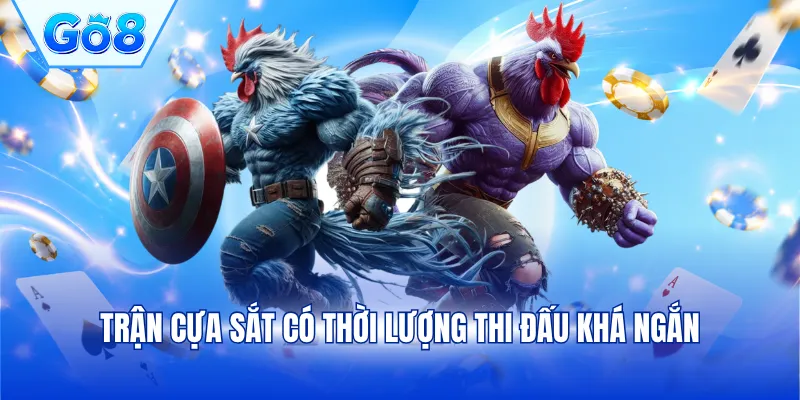 Trận cựa sắt có thời lượng thi đấu khá ngắn